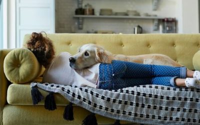Why Pet-Friendly Homes Are in High Demand