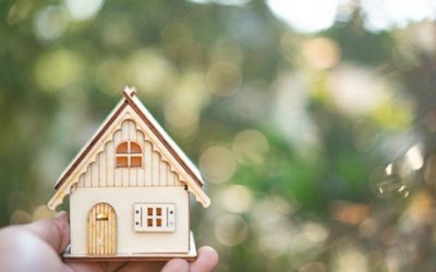 Expert Insights on the 2020 Housing Market