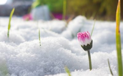 The New Spring Real Estate Market is Here. Are You Ready?
